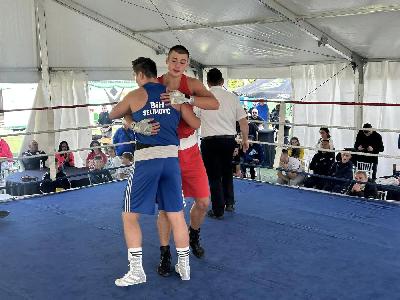 Gajnice boxing challenge 2024